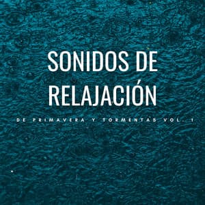 Sonidos De Relajación De Primavera Y Tormentas Vol. 1 - Sonidos de la naturaleza: tormenta