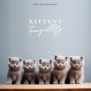 Kittens Tranquillity - Music for Cats Project