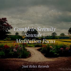 Complete Serenity Sounds | Meditation Focus - Kinderliederbande