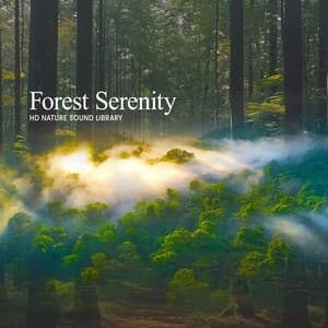 Forest Serenity - HD Nature Sound Library