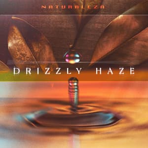 Drizzly Haze - Naturaleza