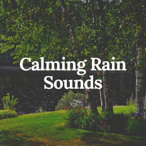 Calming Rain Sounds - Rain Hard
