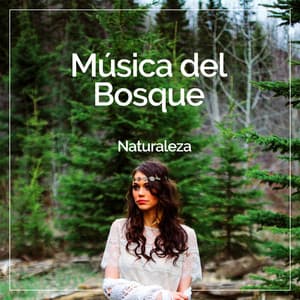 Música del Bosque - Naturaleza