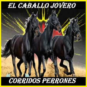El Caballo Jovero - Corridos Perrones