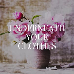Underneath Your Clothes - Ultimate Pop Hits