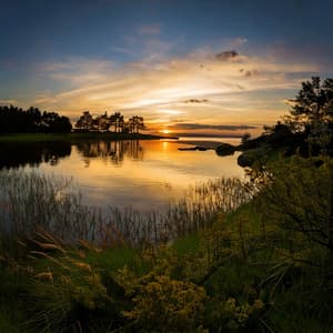 Relaxation Mood: Hip Hop for Calm - Relaxation Music Playlist