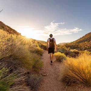 Orquesta Para Relajación: Flujo Musical Suave - Bertie Lambert