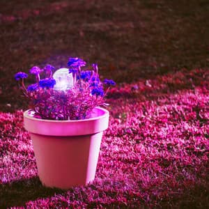 Guitar Jazz - Background for Courageous Days - Hotel Lobby Jazz Group