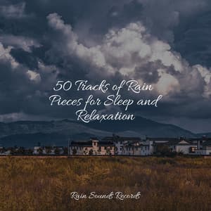 50 Tracks of Rain Pieces for Sleep and Relaxation - Nature Sound Collection