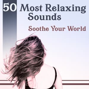 50 Most Relaxing Sounds: Soothe Your World – Healing Sounds of Nature for Inner Peace, Calm Mind, Living in Harmony, Well Being - Relaxing Distraction Therapy Zone