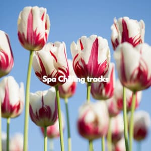 Spa Chilling tracks - Abend Jazz