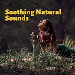 Soothing Natural Sounds for Mindfulness, Relaxation, Yoga and Deep Slumber - Kundalini: Yoga, Meditation, Relaxation