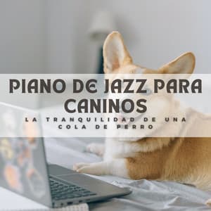 Piano De Jazz Para Caninos: La Tranquilidad De Una Cola De Perro - El piano amistoso