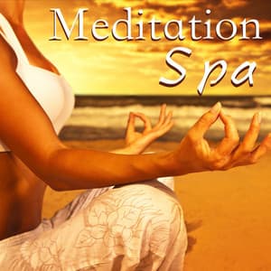 Meditation Spa: Relaxing Music Therapy for Total Body Massage, Relaxation and Yoga & Reiki - Massage Therapy Ensamble