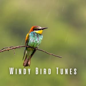 Windy Bird Tunes - Bird Song Lullabies
