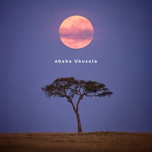 Moonlight on the Savanna - Abeba Ukuzola