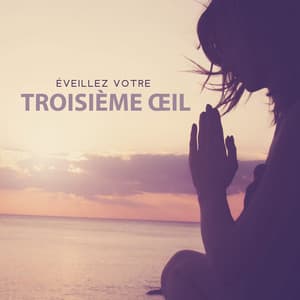 Éveillez votre troisième œil: Arrêtez de trop réfléchir, éliminez le stress, l'anxiété et calmez votre esprit - Zen Méditation Académie