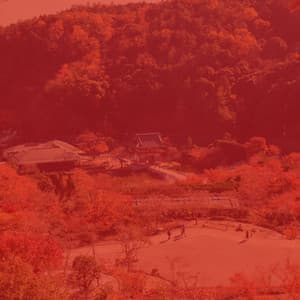 Jazz Guitar Solo - Background Music for Storytelling - Elevator Music All-Stars