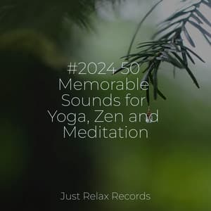 #2024 50 Memorable Sounds for Yoga, Zen and Meditation - Musica para Meditar