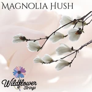 Magnolia Hush - Wildflower Strings