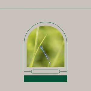 Calming Moments - Background Restaurant Lounge Music