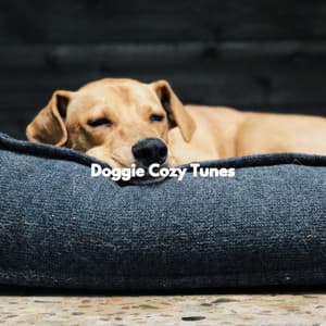 Doggie Cozy Tunes - Calm Dog Music