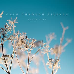 Calm Through Silence - Peter Ries