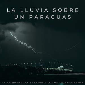 La Lluvia Sobre Un Paraguas: La Estruendosa Tranquilidad De La Meditación - Meditaciones de lluvia
