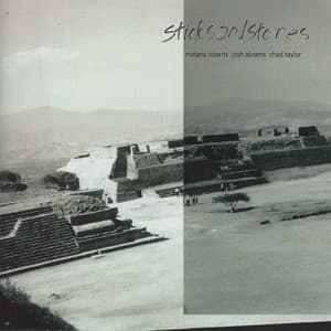 Sticks and Stones - Matana Roberts