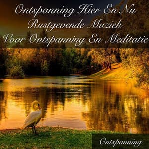 Ontspanning Hier En Nu Rustgevende Muziek Voor Ontspanning En Meditatie - Ontspanning