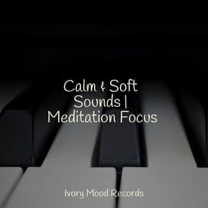 Calm & Soft Sounds | Meditation Focus - Ivory Mood