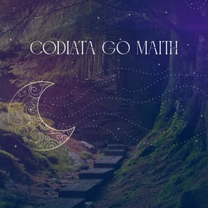 Codlata Go Maith - Irish Instrumental Music For Sleep, Rest, Bedtime Meditation - Irish Flute Music Universe