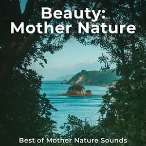Beauty: Mother Nature - Best of Mother Nature Sounds