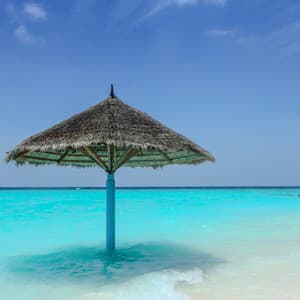 50 Meditative Waters: Focus & Concentration - Seascapers