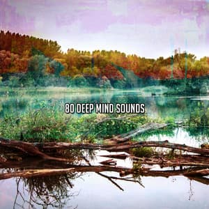 80 Deep Mind Sounds - Meditation Music Masters