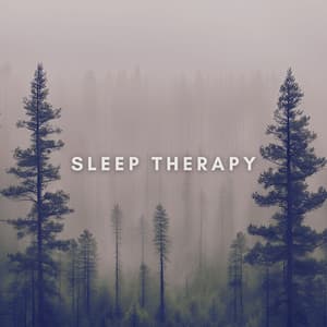 Rainfall in the Marshlands - SleepTherapy