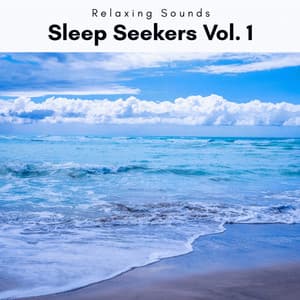 Sleep Seekers Vol. 1 - Waves of Relax