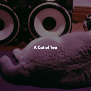 A Cat of Tea - Trabajar desde Casa Background Musica
