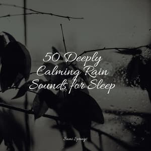 50 Deeply Calming Rain Sounds for Sleep - Heavy Rain Sounds
