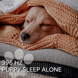 396 Hz Puppy Sleep Alone - Dog Frequencies