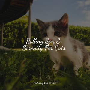 Rolling Spa & Serenity For Cats - Relaxmycat