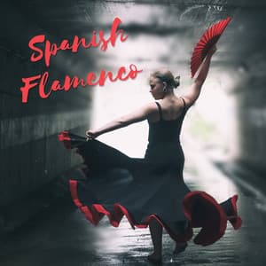 Spanish Flamenco - Latin Dance Party, Sensual Tango, Acoustic Guitar, Passionate Folk Music - Corp Cool Latino Ambient