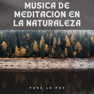 Música de Meditación en la Naturaleza para la Paz - Naturalis