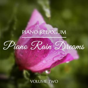 Piano Rain Dreams, Vol. 2 - Piano Relaxium