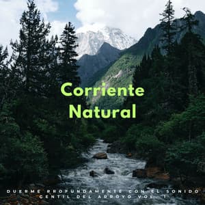 Corriente Natural: Duerme Profundamente Con El Sonido Gentil Del Arroyo Vol. 1 - Sonidos de agua para dormir