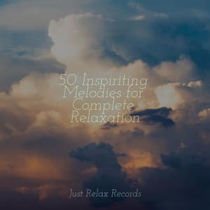 50 Inspiriting Melodies for Complete Relaxation - Music For Absolute Sleep
