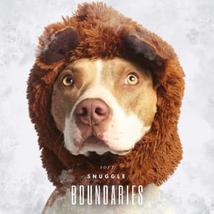 Soft Snuggle Boundaries - Relax My Dog Music