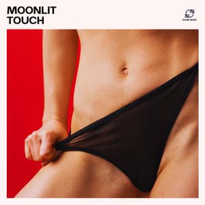Moonlit Touch: Intimate Chillout Music - Making Love Music Ensemble