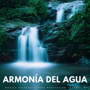 Armonía Del Agua: Música Relajante Para Meditación Tranquila - Sonidos De Agua