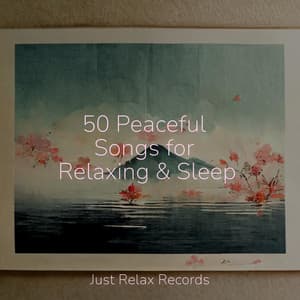 50 Peaceful Songs for Relaxing & Sleep - Pro Sound Effects Library